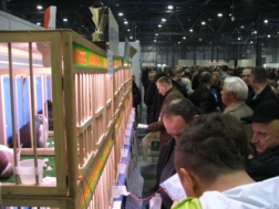 Targi ExpoGołębie 2014